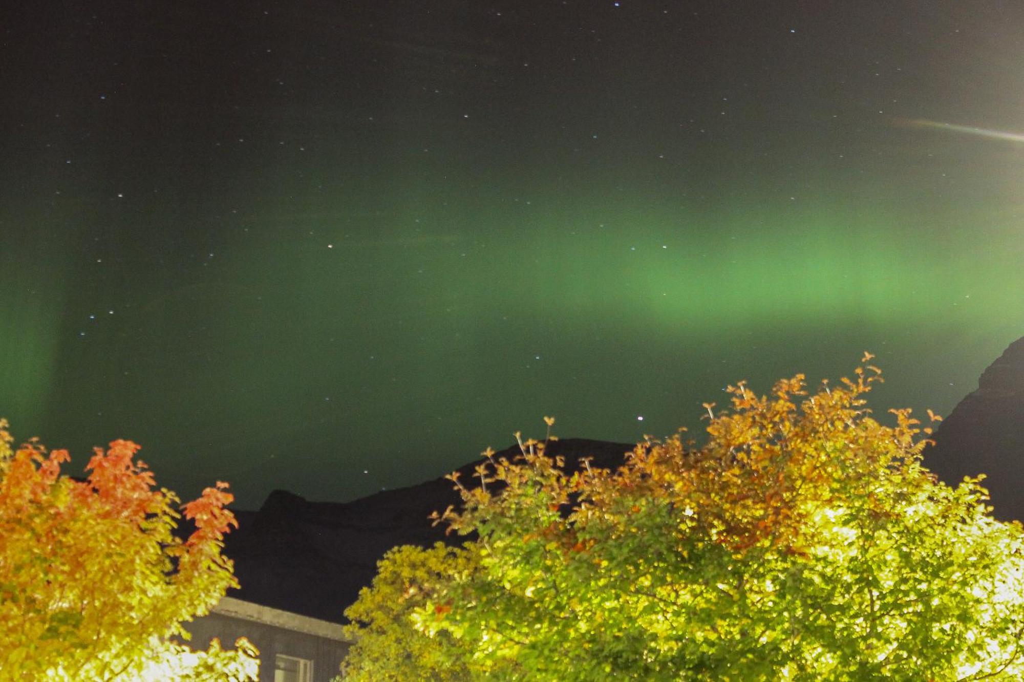 Hotel Austur Reydarfjordur Kültér fotó